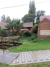 Třibřichy