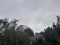 Olešná