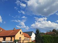 Olešná