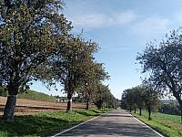 Lukovany
