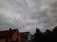 Olešná
