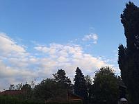 Olešná