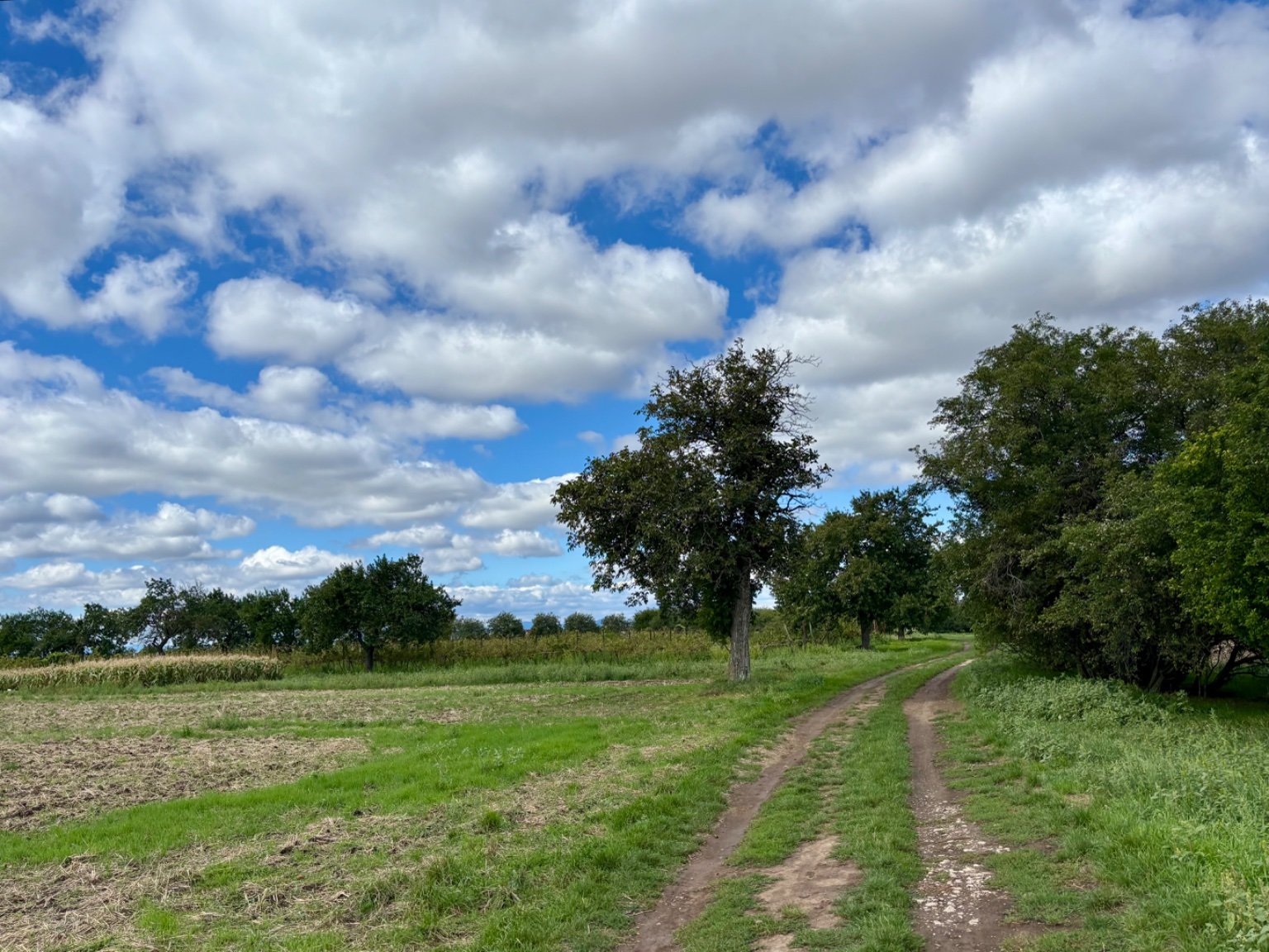 Hrnčiarovce nad Parnou