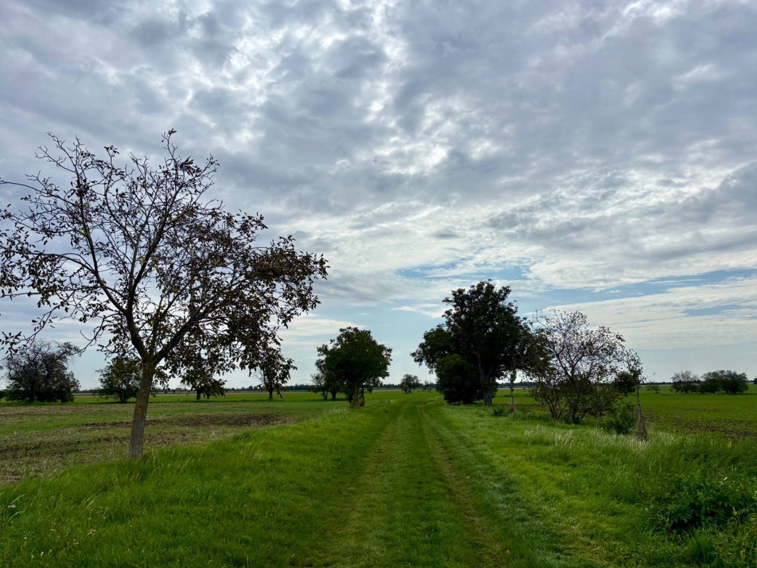 Hrnčiarovce nad Parnou
