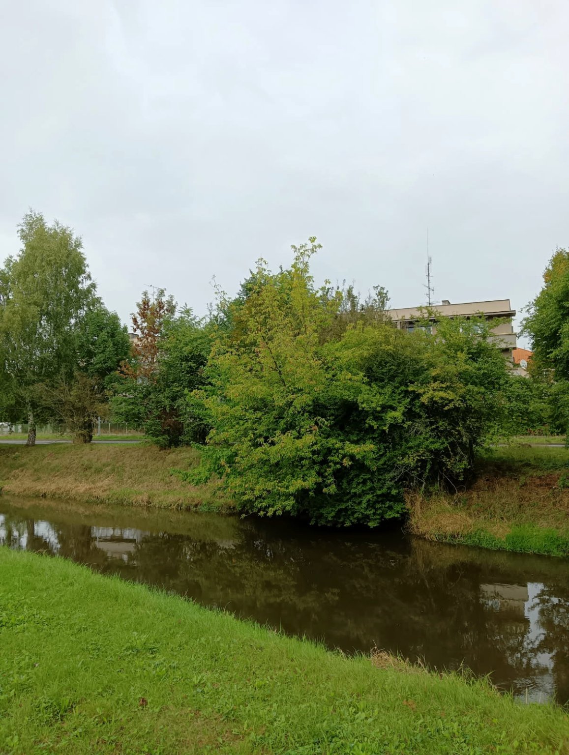 Olomouc-Mlýnský potok