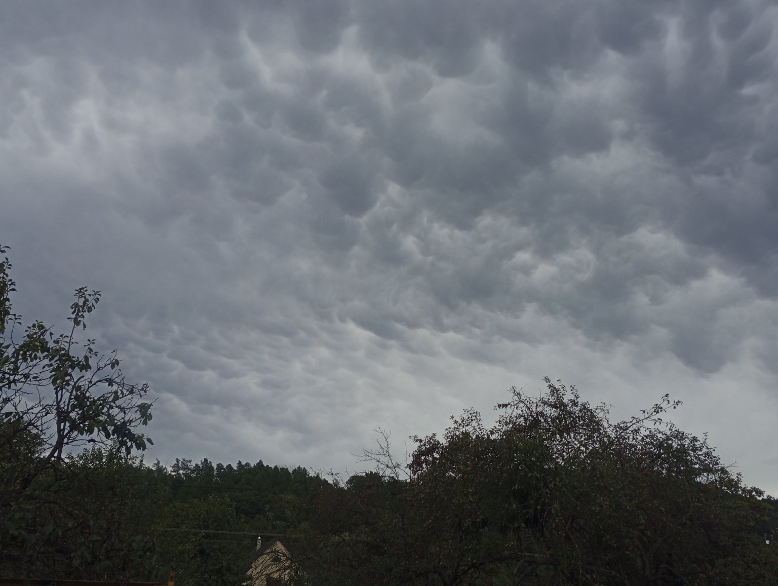 Kopřivnice, Vlčovice