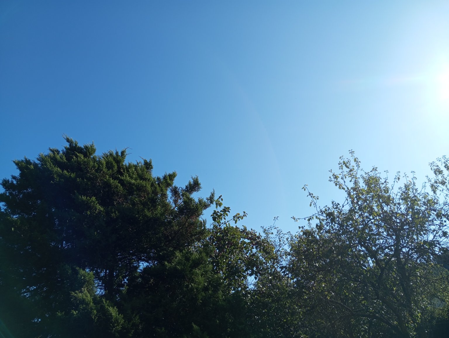 Kopřivnice, Vlčovice