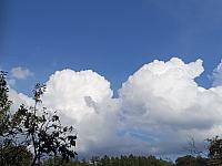 Kopřivnice, Vlčovice