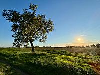 Hrnčiarovce nad Parnou