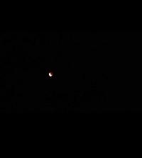 Kopřivnice, Vlčovice