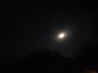 Kopřivnice, Vlčovice