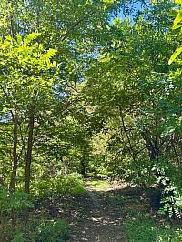 Hrnčiarovce nad Parnou