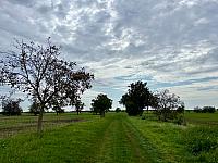 Hrnčiarovce nad Parnou