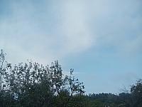 Kopřivnice, Vlčovice