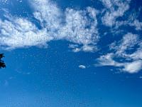 Hrnčiarovce nad Parnou