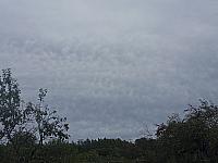 Kopřivnice, Vlčovice