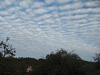 Kopřivnice, Vlčovice