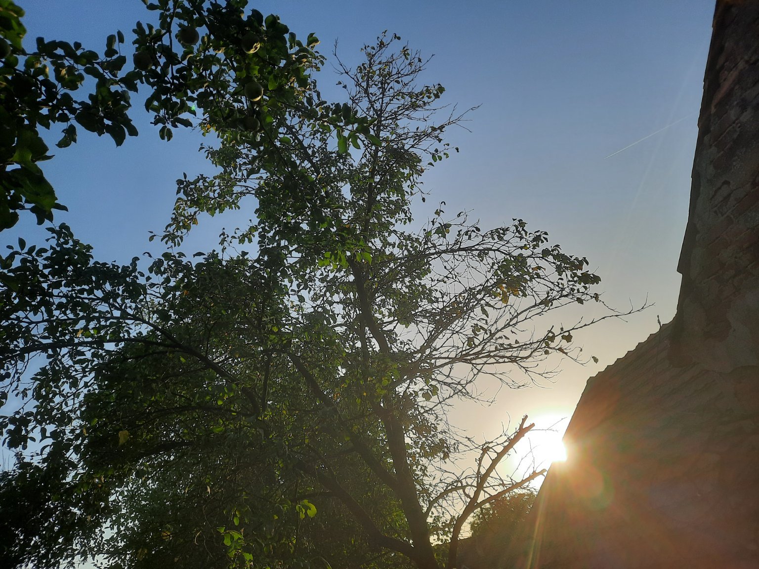 Mezná 