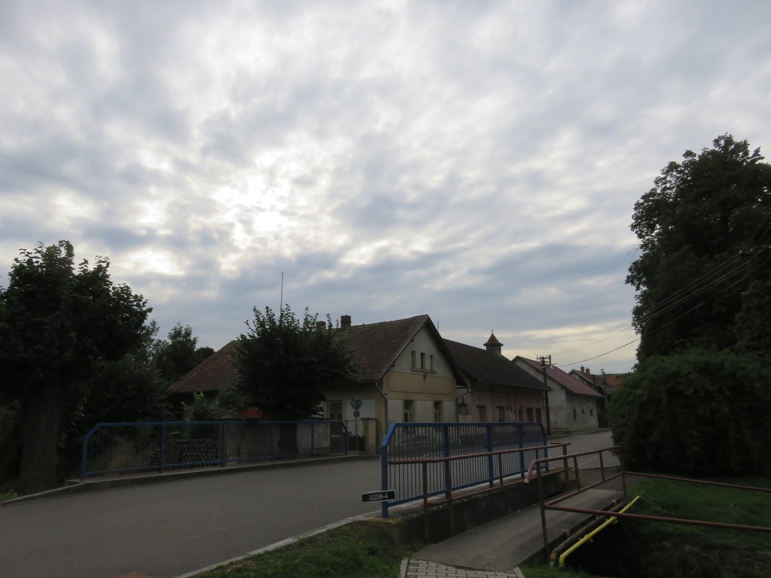 Třibřichy