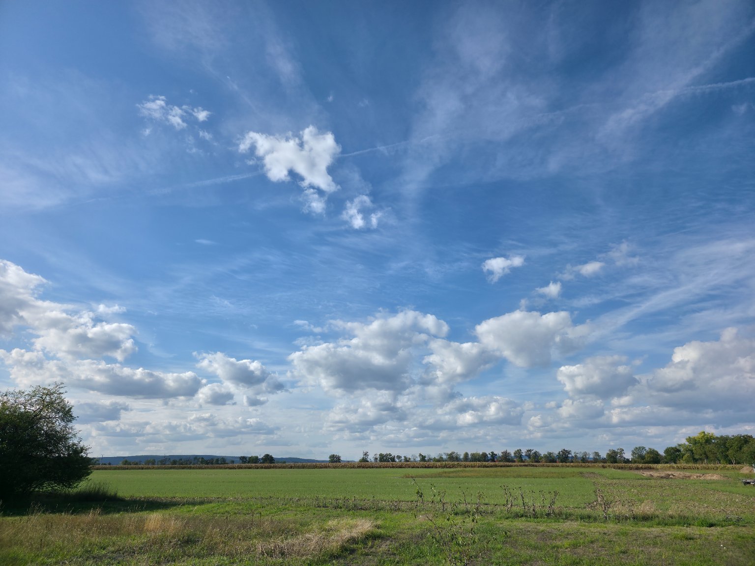 Odrovice