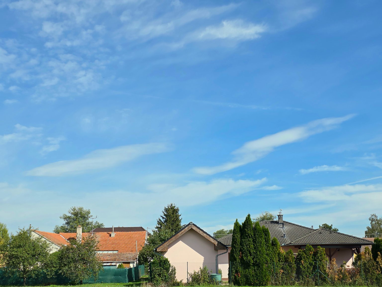 Odrovice