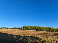 image_1031640.jpg