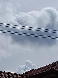Fotografie