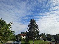 image_1031913.jpg