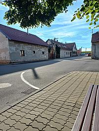 Třibřichy