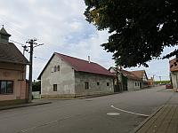 Třibřichy