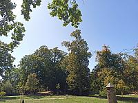 Habrovany