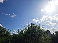 Mezná 