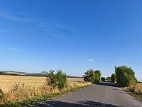 image_1032613.jpg