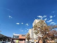image_1032614.jpg