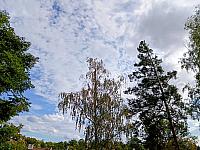 Třebíč-Borovina