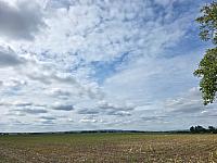 Odrovice