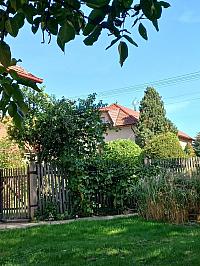 Třibřichy