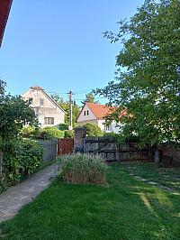 Třibřichy