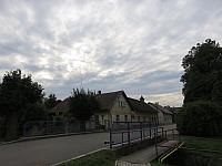 Třibřichy