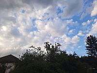 Olešná