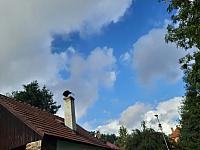 Olešná