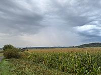 image_1033747.jpg