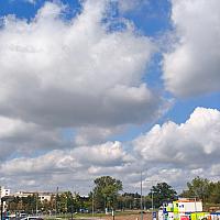 image_1033840.jpg
