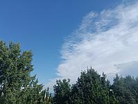 image_1033842.jpg