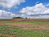 Fotografie