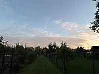 image_1033886.jpg