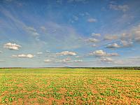 image_1033901.jpg