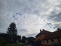 Olešná