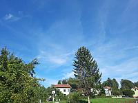 Olešná