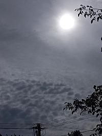 image_1034294.jpg